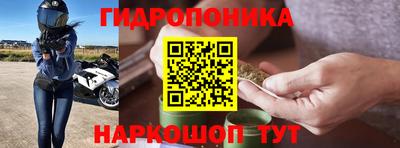 прущие крисы Будённовск