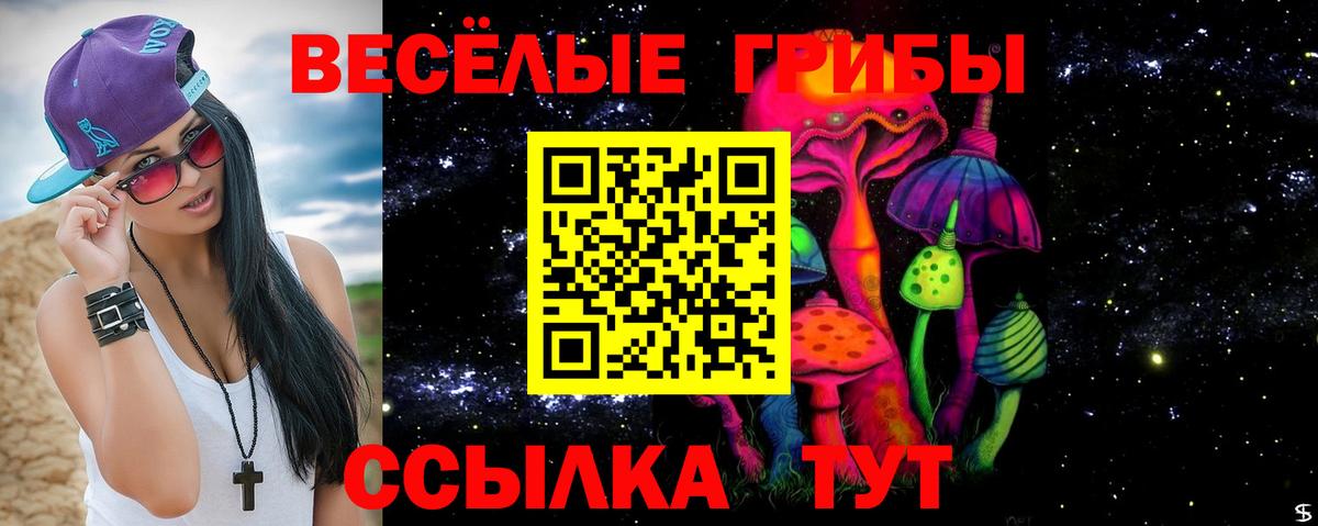 Псилоцибиновые грибы Psilocybe  Вход с VPN  Луга 
