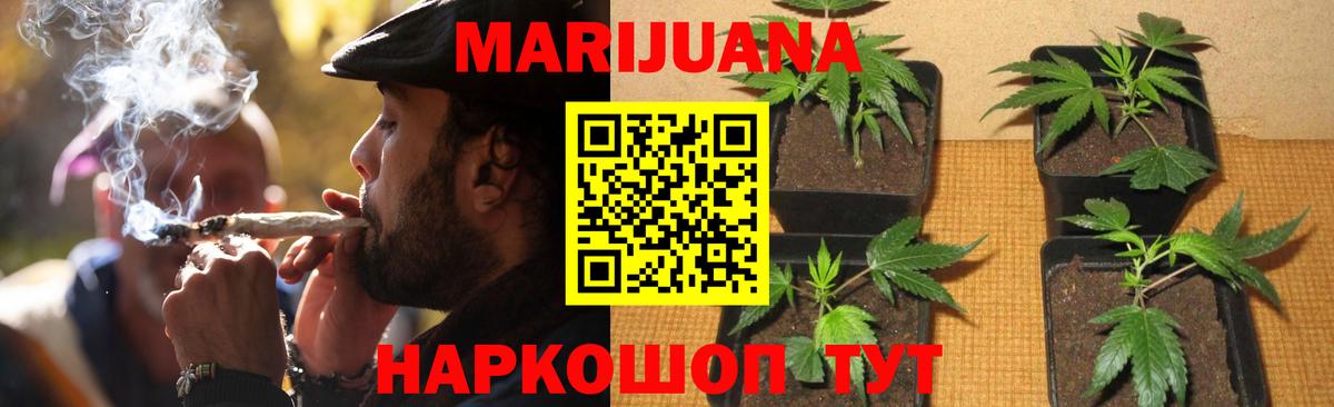Луга  Марихуана планчик  Вход с VPN  Бошки Шишки тримм  Бошки Шишки Amnesia  Шишки марихуана гибрид 